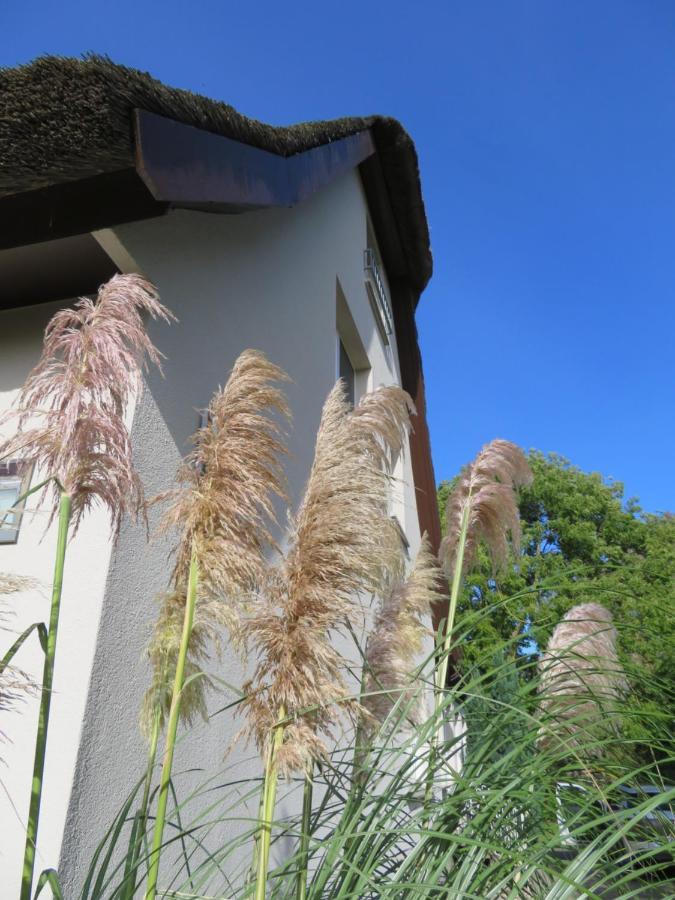 Boddenhaus Darss Apartment *